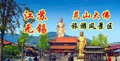 跨种族大鸡巴内射江苏无锡灵山大佛旅游风景区
